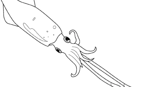 Calamarii inspectorului caracatiţă gif