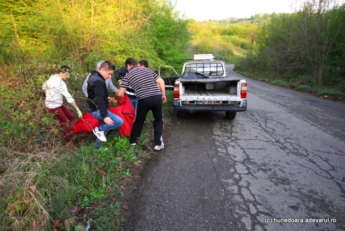 accident cincis