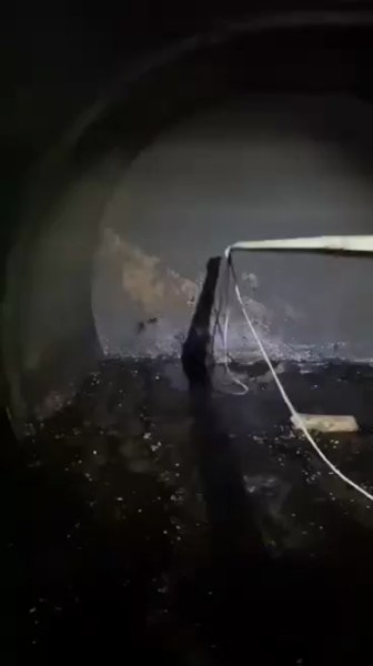 Câine căzut într-o cisternă cu benzină, îngropată în pământ. Salvatorii l-au botezat Diesel VIDEO