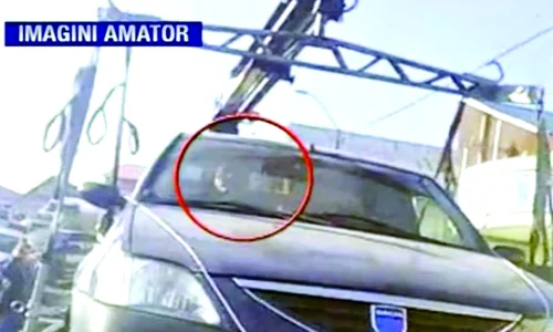 Şi socrul unui argeşean a păţit o jpeg