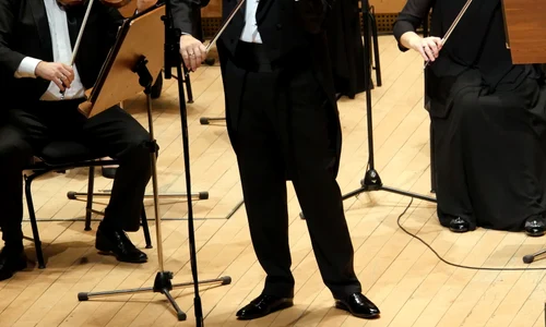 „Anotimpurile” lui Vivaldi, cu Gabriel Croitoru jpeg
