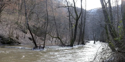 raul cerna foto daniel guta adevarul