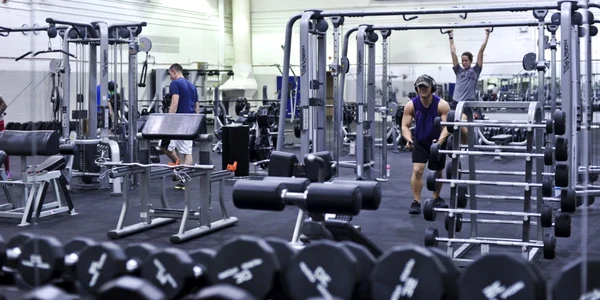fitness steroizi anabolizanti hurlburt af mil