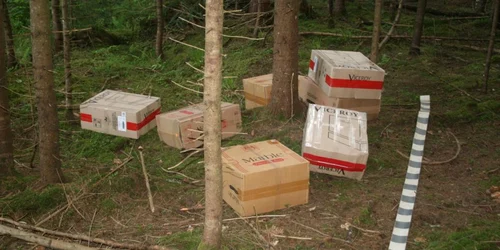 Contrabandă Izvoarele Sucevei