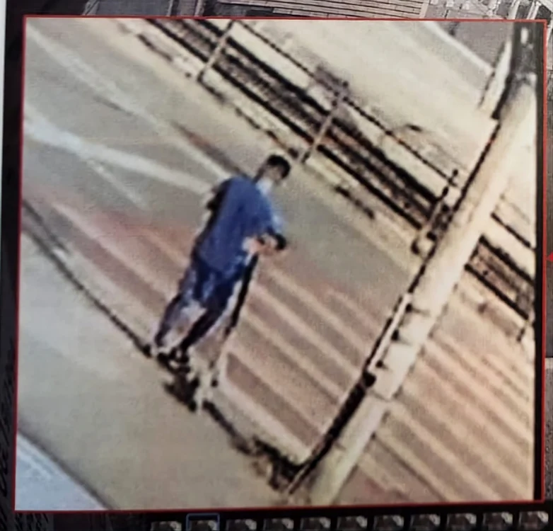 Horia pregătindu-se să traverseze regulamentar SURSA dosar