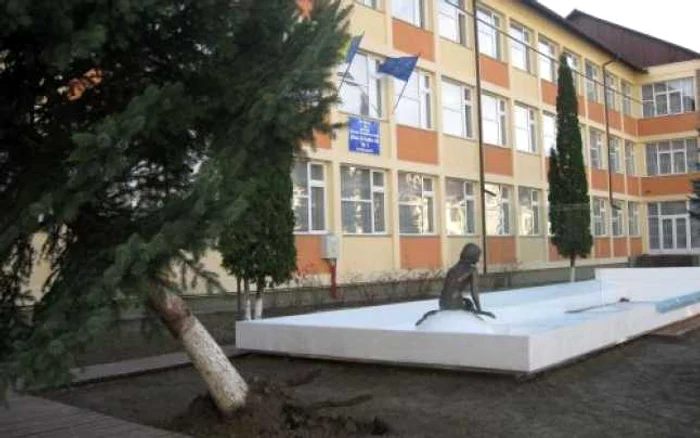 MIca Sirenă a scăpat teafără (1)