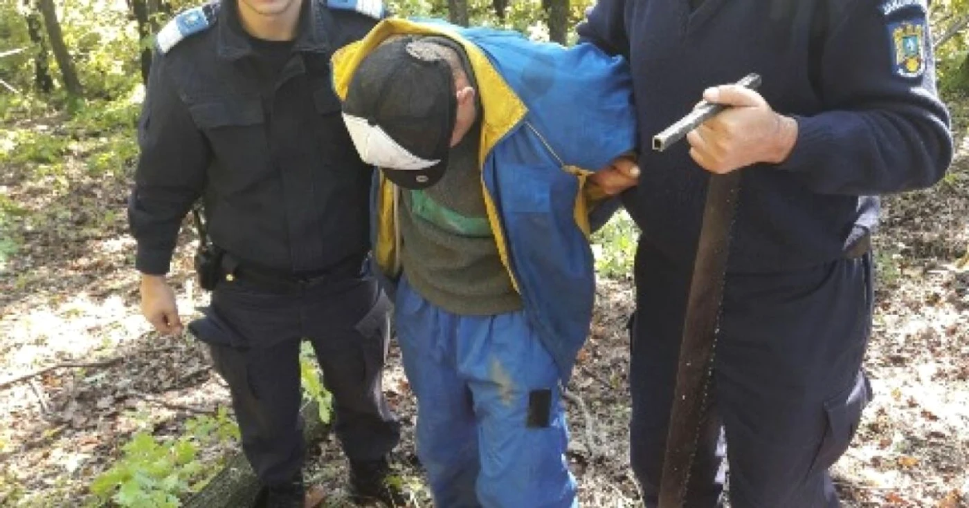 Jandarmii au întocmit celui în cauză actele de sesizare, în ceea ce priveşte “tăierea fără drept de arbori din fondul forestier naţional