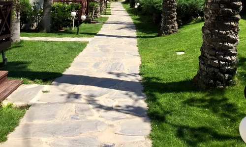 11018606 10205956474385145 5661739681564402186 n jpg jpeg