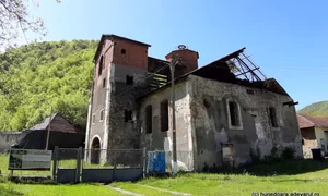 furnal govajdia foto daniel guta