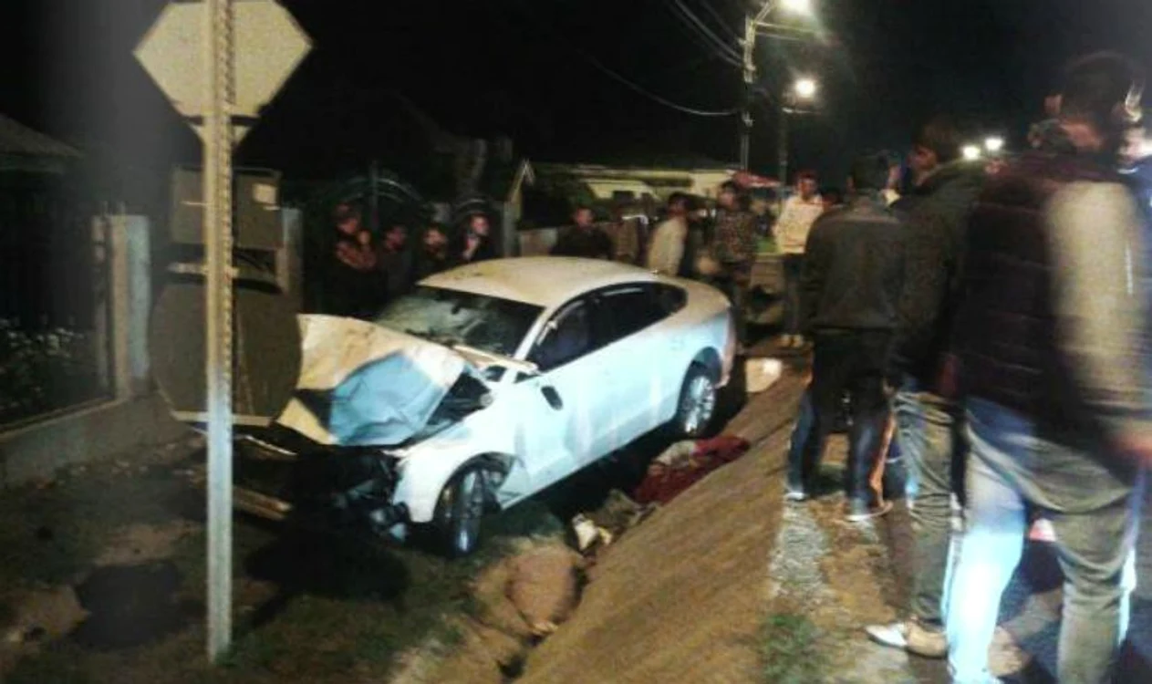 Autoturismul Audi, condus de băcăuanca Diana Dinu, a intrat într-o căruţă