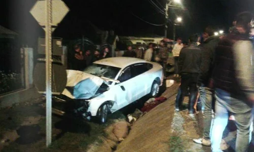 Autoturismul Audi, condus de băcăuanca Diana Dinu,  a intrat într o căruţă jpeg