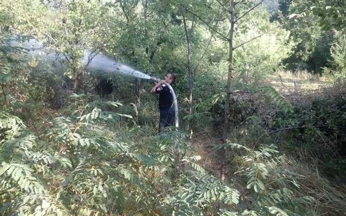 Şapte incendii în ultimele 24 de ore