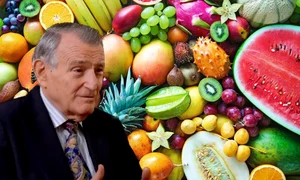 exotic fruits 04b041fb logo jpeg
