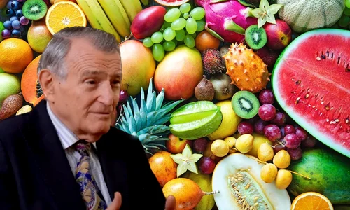 exotic fruits 04b041fb logo jpeg