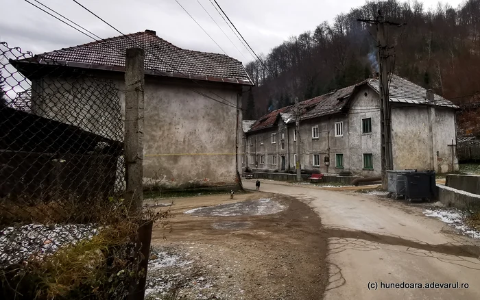 Strada Libertății, din colonia Aninoasa. Foto: Daniel Guță