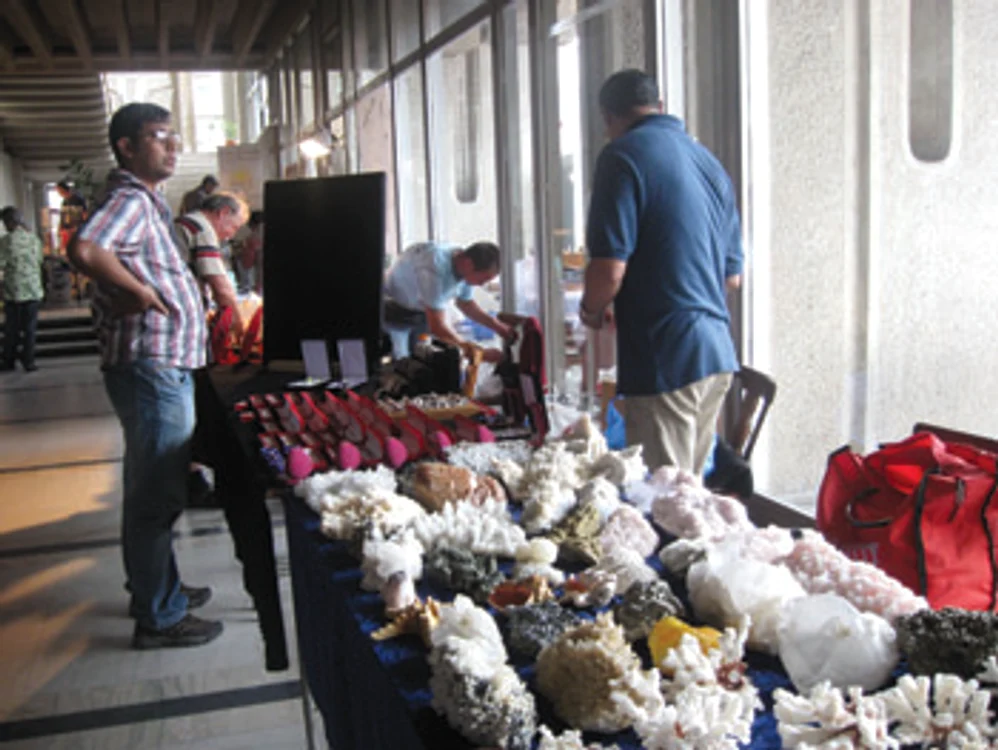 Băcăuanii sunt invitaţi la expoziţie