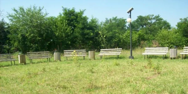 4000 de kilograme de gazona  cumpărat primăria din Malu Mare pentru a amenja un părculeţ de 1000 de metri pătraţi