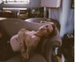 ireland baldwin 6 png