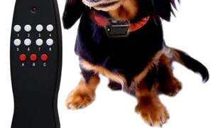 remote control dog training collar 8levels 2 jpeg