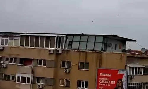 WhatsApp Video 2025 03 27 at 10 47 22 mp4 thumbnail png