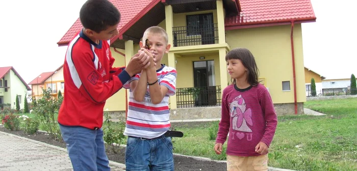 Copiii au fost aduşi din mai multe centre de plasament din judeţ