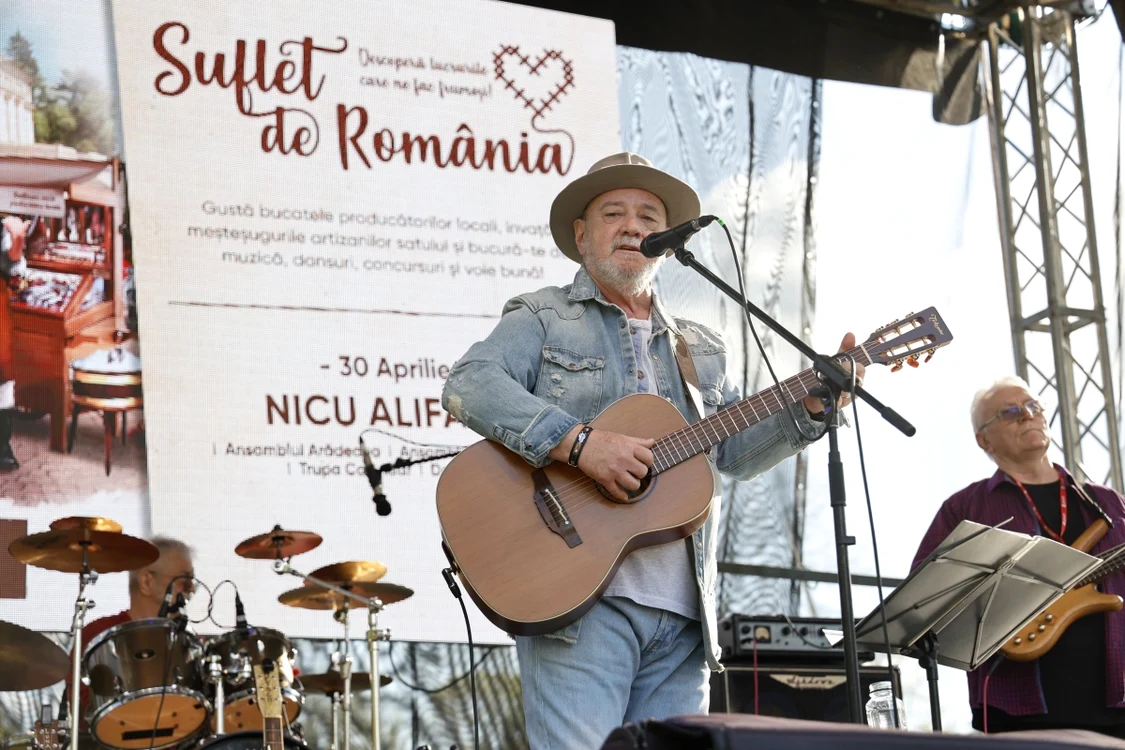Nicu Alifantis pe scena festivalului