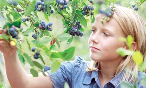 12 13 sanatate 14626337 l jpeg