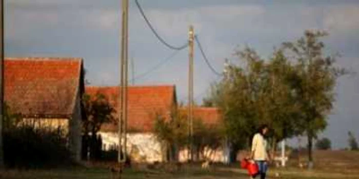 Timişoara: EXCLUSIV Şeful poliţiei Timiş declanşează ofensiva împotriva hoţilor din Rudna