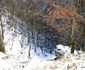 cheile cernei si tunelul de la intrarea in lunca cernii de jos foto daniel guta adevarul