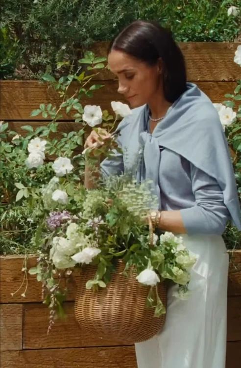 Meghan în grădină png