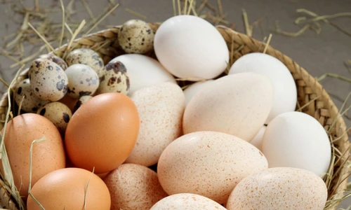 Various eggs jpeg