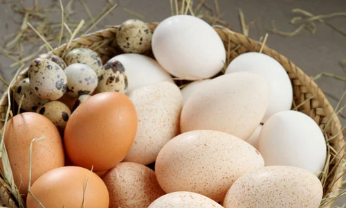 Various eggs jpeg