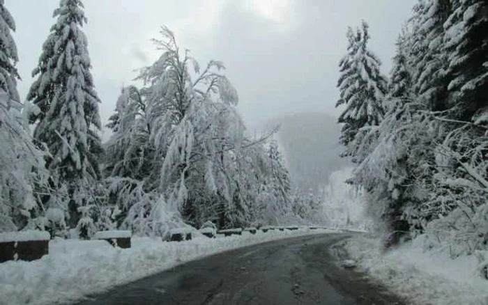 Pe DN 7 A se circulă fără probleme până în zona pârtiei Transalpina Ski Resort. Foto arhiva Adevarul