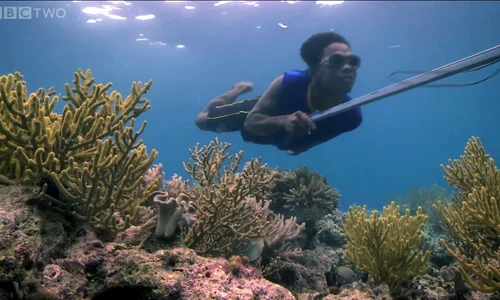 Cum reușesc «nomazii mării» să reziste treisprezece minute sub apă fără să respire  jpeg