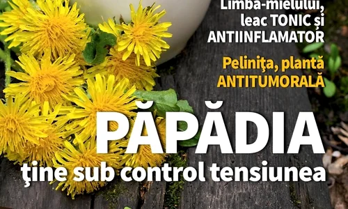 1 01 coperta 1 cs03 page 001 jpg jpeg