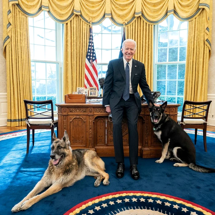 
    Joe Biden, 78 de ani, alături  de dulăii lui Major, 2 ani  și Champ, de 14 ani  