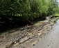 Valea Cernei și Cernișoarei, după inundatii Foto Daniel Guță ADEVĂRUL (74) jpg