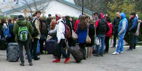 buzau tineri focsani