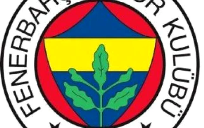 FOTBAL: Fenerbahce a fost învinsă de Gaziantepspor