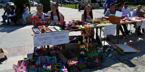 petale-n vant zalau 2016