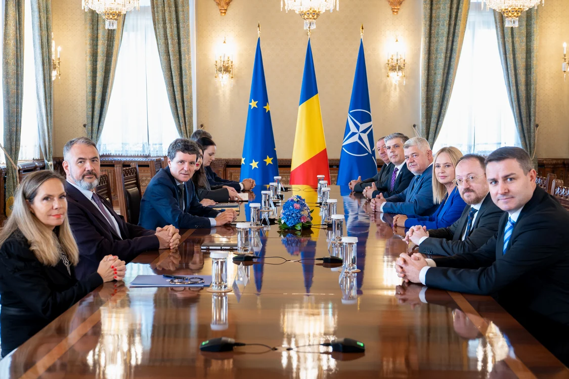 Grupul PACE, consultări la Cotroceni 