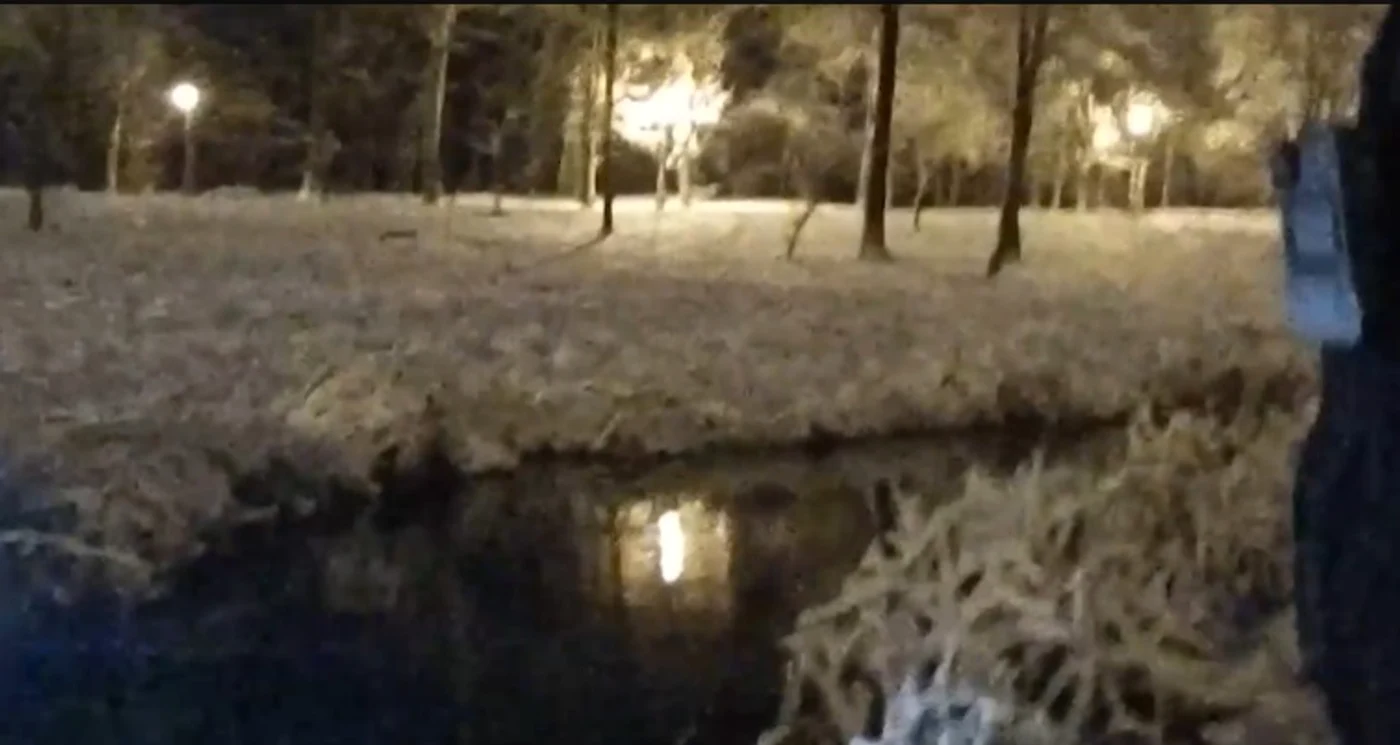 Un bărbat a fost salvat de jandarmi  după ce a căzut în lac. FOTO: Captură Video 