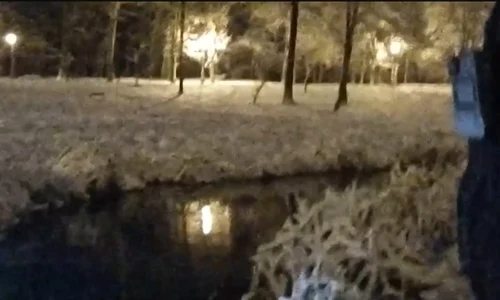 FOTO Captură Video jpg