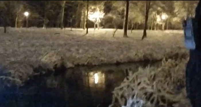 Un bărbat a fost salvat de jandarmi  după ce a căzut în lac. FOTO: Captură Video 