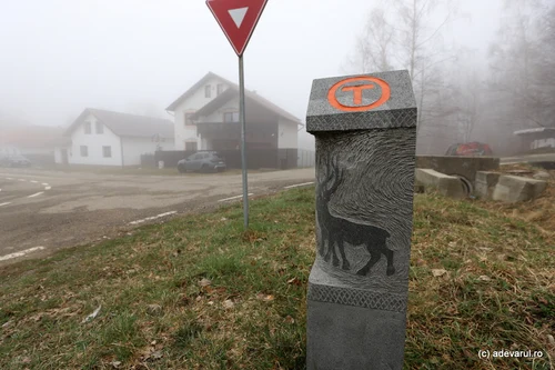 Garana  Foto Daniel Guță ADEVĂRUL (1) JPG