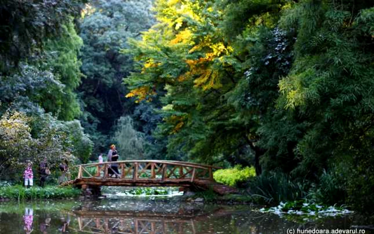 Parcul dendrologic Simeria