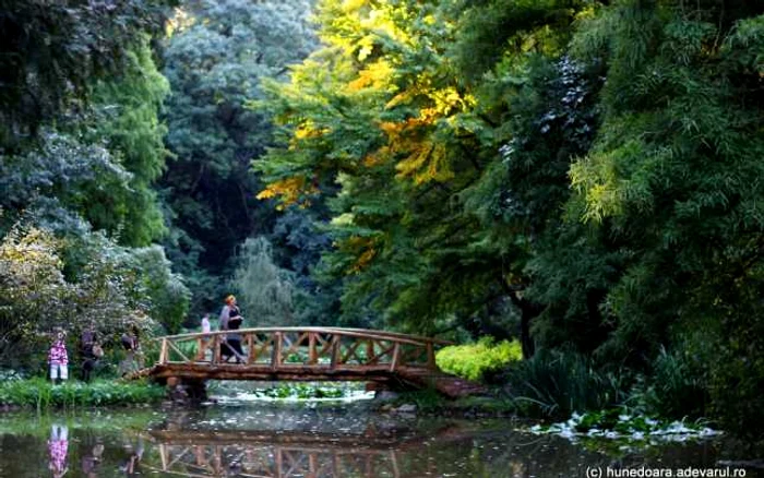 Parcul dendrologic Simeria