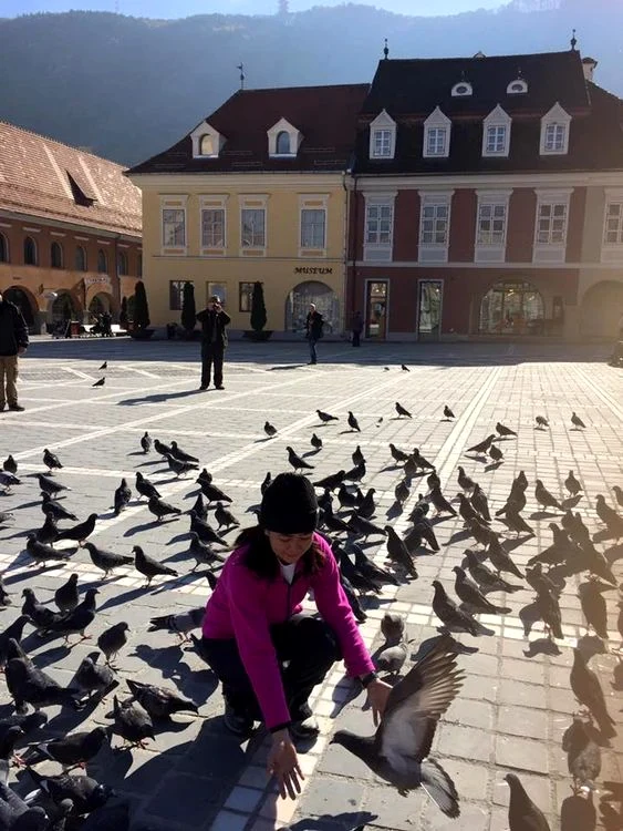 A hrănit porumbeii în Piaţa Sfatului din Braşov