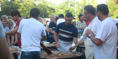 uica mihai