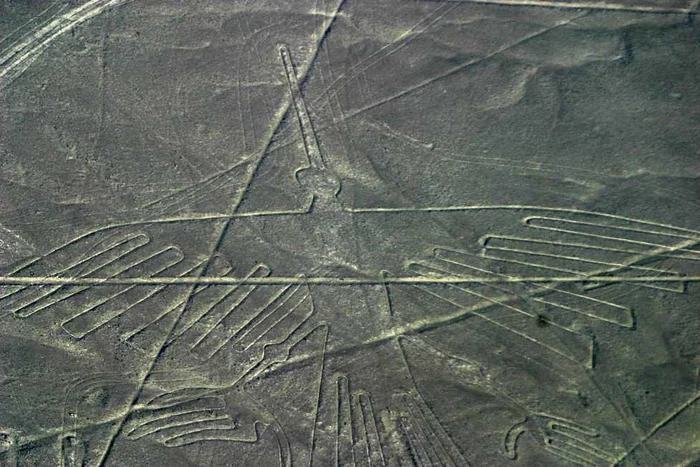 Liniile Nazca